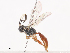  ( - CBG-A41845-E02)  @11 [ ] CreativeCommons - Attribution Share - Alike (2024) CBG Photography Group Centre for Biodiversity Genomics