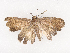  ( - CBG-A40215-A08)  @11 [ ] CreativeCommons - Attribution Share - Alike (2024) CBG Photography Group Centre for Biodiversity Genomics
