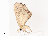 ( - CBG-A40215-A10)  @11 [ ] CreativeCommons - Attribution Share - Alike (2024) CBG Photography Group Centre for Biodiversity Genomics