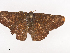  ( - CBG-A40215-D07)  @11 [ ] CreativeCommons - Attribution Share - Alike (2024) CBG Photography Group Centre for Biodiversity Genomics