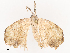  ( - CBG-A41812-A10)  @11 [ ] CreativeCommons - Attribution Share - Alike (2024) CBG Photography Group Centre for Biodiversity Genomics