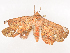  ( - CBG-A41813-B09)  @11 [ ] CreativeCommons - Attribution Share - Alike (2024) CBG Photography Group Centre for Biodiversity Genomics