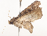 ( - CBG-A41813-C01)  @11 [ ] CreativeCommons - Attribution Share - Alike (2024) CBG Photography Group Centre for Biodiversity Genomics