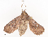  ( - CBG-A41813-C05)  @11 [ ] CreativeCommons - Attribution Share - Alike (2024) CBG Photography Group Centre for Biodiversity Genomics