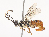  ( - CBG-A41823-C12)  @11 [ ] CreativeCommons - Attribution Share - Alike (2024) CBG Photography Group Centre for Biodiversity Genomics