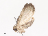  ( - CBG-A41824-E11)  @11 [ ] CreativeCommons - Attribution Share - Alike (2024) CBG Photography Group Centre for Biodiversity Genomics