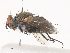  ( - CBG-A41847-B10)  @11 [ ] CreativeCommons - Attribution Share - Alike (2024) CBG Photography Group Centre for Biodiversity Genomics