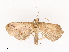  ( - CBG-A44353-A12)  @11 [ ] CreativeCommons - Attribution Share - Alike (2024) CBG Photography Group Centre for Biodiversity Genomics