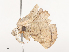  ( - CBG-A44309-D02)  @11 [ ] CreativeCommons - Attribution Share - Alike (2024) CBG Photography Group Centre for Biodiversity Genomics