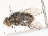  ( - CBG-A40216-D12)  @11 [ ] CreativeCommons - Attribution Share - Alike (2024) CBG Photography Group Centre for Biodiversity Genomics