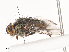  ( - CBG-A40216-E01)  @11 [ ] CreativeCommons - Attribution Share - Alike (2024) CBG Photography Group Centre for Biodiversity Genomics