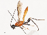 ( - CBG-A44307-F08)  @11 [ ] CreativeCommons - Attribution Share - Alike (2024) CBG Photography Group Centre for Biodiversity Genomics