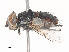  ( - CBG-A44385-E05)  @11 [ ] CreativeCommons - Attribution Share - Alike (2024) CBG Photography Group Centre for Biodiversity Genomics