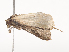  ( - CBG-A44386-B12)  @11 [ ] CreativeCommons - Attribution Share - Alike (2024) CBG Photography Group Centre for Biodiversity Genomics