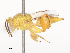  ( - CBG-A44391-C06)  @11 [ ] CreativeCommons - Attribution Share - Alike (2024) CBG Photography Group Centre for Biodiversity Genomics