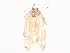  ( - CBG-A44391-G02)  @11 [ ] CreativeCommons - Attribution Share - Alike (2024) CBG Photography Group Centre for Biodiversity Genomics