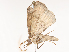  ( - CBG-A45265-D02)  @11 [ ] CreativeCommons - Attribution Share - Alike (2024) CBG Photography Group Centre for Biodiversity Genomics