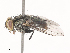  ( - CBG-A45266-G05)  @11 [ ] CreativeCommons - Attribution Share - Alike (2024) CBG Photography Group Centre for Biodiversity Genomics