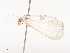  ( - CBG-A45267-B06)  @11 [ ] CreativeCommons - Attribution Share - Alike (2024) CBG Photography Group Centre for Biodiversity Genomics