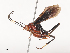  ( - CBG-A46879-C04)  @11 [ ] CreativeCommons - Attribution Share - Alike (2024) CBG Photography Group Centre for Biodiversity Genomics