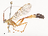  ( - CBG-A46879-C07)  @11 [ ] CreativeCommons - Attribution Share - Alike (2024) CBG Photography Group Centre for Biodiversity Genomics