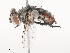  ( - CBG-A46879-D02)  @11 [ ] CreativeCommons - Attribution Share - Alike (2024) CBG Photography Group Centre for Biodiversity Genomics