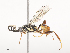  ( - CBG-A46879-E03)  @11 [ ] CreativeCommons - Attribution Share - Alike (2024) CBG Photography Group Centre for Biodiversity Genomics