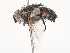  ( - CBG-A44353-H01)  @11 [ ] CreativeCommons - Attribution Share - Alike (2024) CBG Photography Group Centre for Biodiversity Genomics