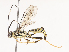  ( - CBG-A44353-H04)  @11 [ ] CreativeCommons - Attribution Share - Alike (2024) CBG Photography Group Centre for Biodiversity Genomics