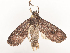  ( - CBG-A44357-F01)  @11 [ ] CreativeCommons - Attribution Share - Alike (2024) CBG Photography Group Centre for Biodiversity Genomics