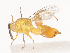  ( - CBG-A44359-F03)  @11 [ ] CreativeCommons - Attribution Share - Alike (2024) CBG Photography Group Centre for Biodiversity Genomics