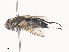  ( - CBG-A44370-D09)  @11 [ ] CreativeCommons - Attribution Share - Alike (2024) CBG Photography Group Centre for Biodiversity Genomics