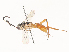  ( - CBG-A46880-F12)  @11 [ ] CreativeCommons - Attribution Share - Alike (2024) CBG Photography Group Centre for Biodiversity Genomics