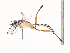  ( - CBG-A46880-G01)  @11 [ ] CreativeCommons - Attribution Share - Alike (2024) CBG Photography Group Centre for Biodiversity Genomics
