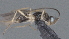  ( - CCDB-28469-B04)  @11 [ ] CreativeCommons - Attribution (2023) Michael Sharkey Centre for Biodiversity Genomics