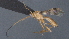  ( - CCDB-28470-B10)  @11 [ ] CreativeCommons - Attribution (2023) Michael Sharkey Centre for Biodiversity Genomics