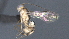  (Mesochorus Malaise5025 - CCDB-28471-F10)  @11 [ ] CreativeCommons - Attribution (2023) Michael Sharkey Centre for Biodiversity Genomics