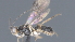  ( - CCDB-28474-C03)  @11 [ ] CreativeCommons - Attribution (2023) Michael Sharkey Centre for Biodiversity Genomics
