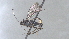  ( - CCDB-28465-B04)  @11 [ ] CreativeCommons - Attribution (2023) Michael Sharkey Centre for Biodiversity Genomics