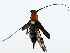  ( - BIOUG76529-E11)  @11 [ ] CreativeCommons - Attribution (2022) CBG Photography Group Centre for Biodiversity Genomics
