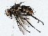  ( - BIOUG76529-F10)  @11 [ ] CreativeCommons - Attribution (2022) CBG Photography Group Centre for Biodiversity Genomics