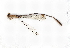  ( - BIOUG76529-H08)  @14 [ ] CreativeCommons - Attribution (2022) CBG Photography Group Centre for Biodiversity Genomics