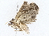  ( - BIOUG76531-E07)  @11 [ ] CreativeCommons - Attribution (2022) CBG Photography Group Centre for Biodiversity Genomics