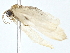  ( - BIOUG77702-C10)  @11 [ ] CreativeCommons - Attribution (2022) CBG Photography Group Centre for Biodiversity Genomics