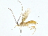 ( - BIOUG77703-A07)  @11 [ ] CreativeCommons - Attribution (2022) CBG Photography Group Centre for Biodiversity Genomics