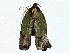  ( - BIOUG77703-B04)  @11 [ ] CreativeCommons - Attribution (2022) CBG Photography Group Centre for Biodiversity Genomics