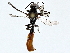  ( - BIOUG77704-D12)  @11 [ ] CreativeCommons - Attribution (2022) CBG Photography Group Centre for Biodiversity Genomics