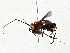  ( - BIOUG77704-H05)  @13 [ ] CreativeCommons - Attribution (2022) CBG Photography Group Centre for Biodiversity Genomics