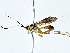  ( - BIOUG77705-F10)  @11 [ ] CreativeCommons - Attribution (2022) CBG Photography Group Centre for Biodiversity Genomics