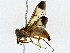  ( - BIOUG77705-G03)  @11 [ ] CreativeCommons - Attribution (2022) CBG Photography Group Centre for Biodiversity Genomics